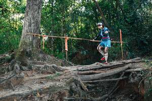 BIB: 
                            <button type="button" onclick="openModal(27753389)" class="btn btn-primary btn-sm float-right btn-popup" data-toggle="modal" data-target=".modal-high-quality">
                        <i class="fas fa-shopping-cart"></i> Add to Cart
                    </button>
                                            <button type="button" onclick="isThisMe(27753389, true)" class="btn btn-success btn-sm float-right btn-popup btn-isme hidden" data-toggle="tooltip" data-placement="bottom" title="นี่คือรูปของคุณใช่ไหม คลิกที่นี่เพื่อเอาเข้าอัลบั้ม">
                        <i class="fas fa-plus"></i> Add to album
                    </button>
                    <button type="button" onclick="isThisMe(27753389, false)" class="btn btn-warning btn-sm float-right btn-popup btn-isnotme hidden">
                        <i class="fas fa-ban"></i> Remove from album
                    </button>